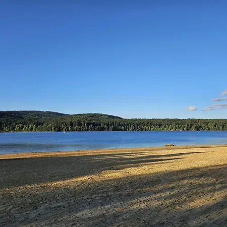 Pasecna Přední Výtoň