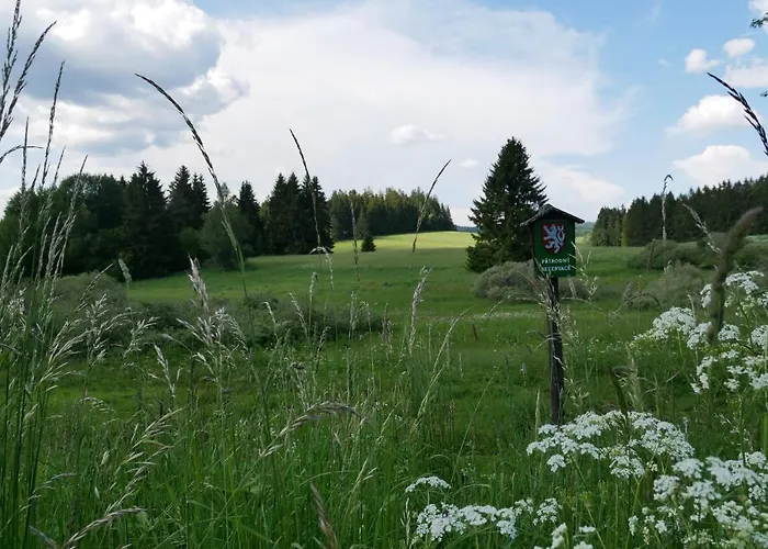 Semesterbostad Pasecna