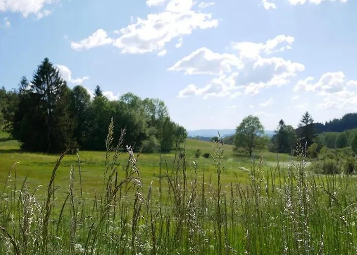 Semesterbostad Pasecna Přední Výtoň
