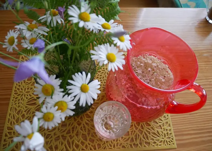 Pasecna * Přední Výtoň