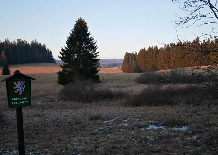 Pasecna Přední Výtoň