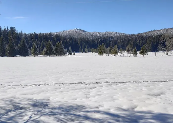 Pasecna Semesterbostad *