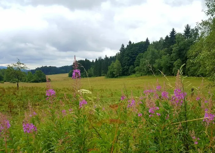 Pasecna Semesterbostad