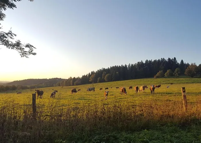 Pasecna Semesterbostad